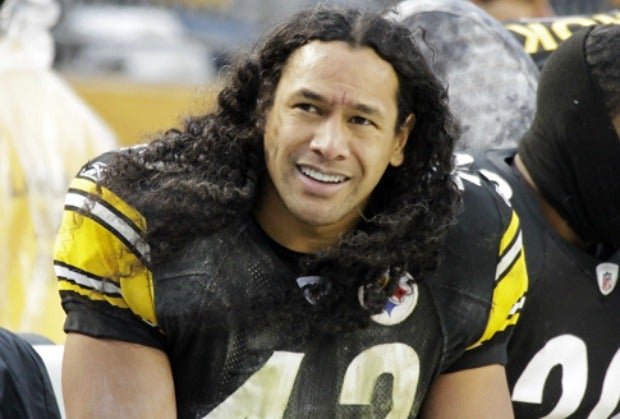 brandon polamalu